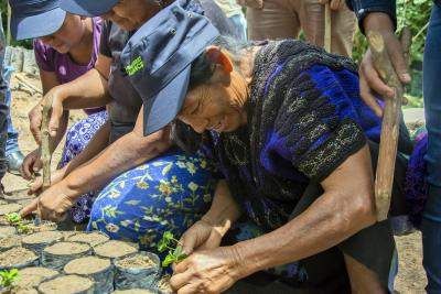 femmes agriculture régénératrice mexique